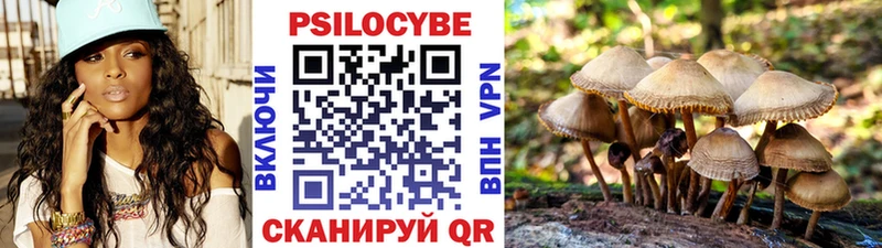 omg ССЫЛКА  Дубовка  Галлюциногенные грибы MAGIC MUSHROOMS 
