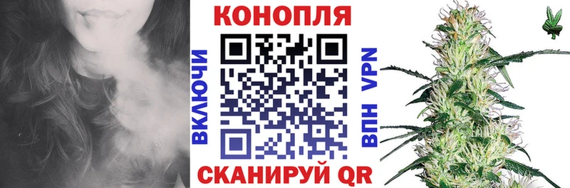 Бошки марихуана ГИДРОПОН  где купить наркоту  Дубовка 